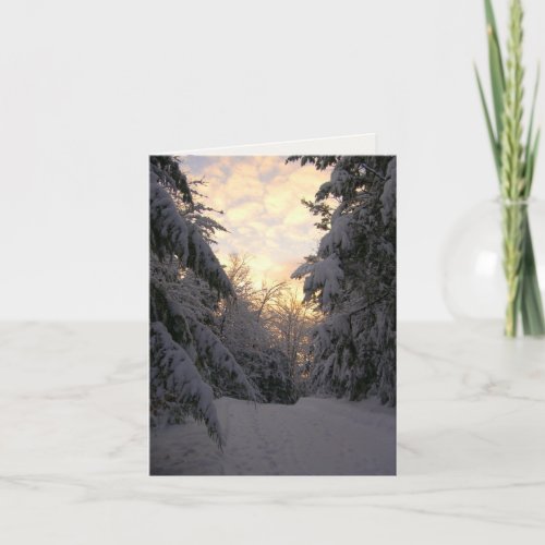 Winter Pines Sunrise Photography Note Card