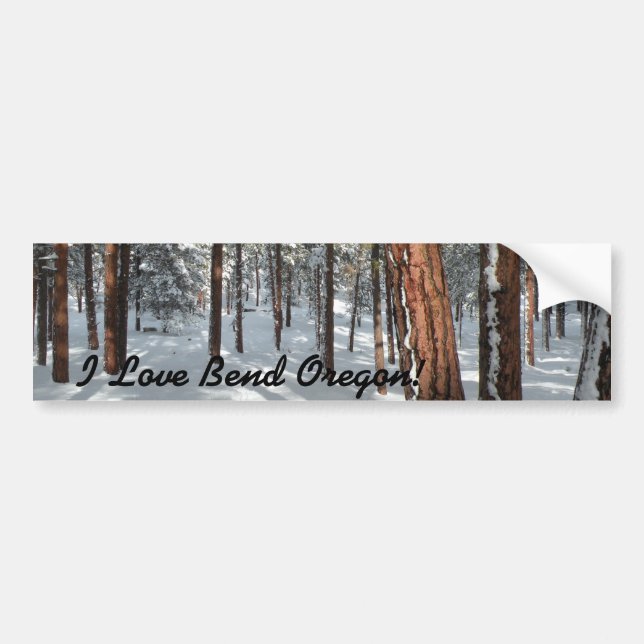 Winter Ponderosa Bumper Sticker (Front)