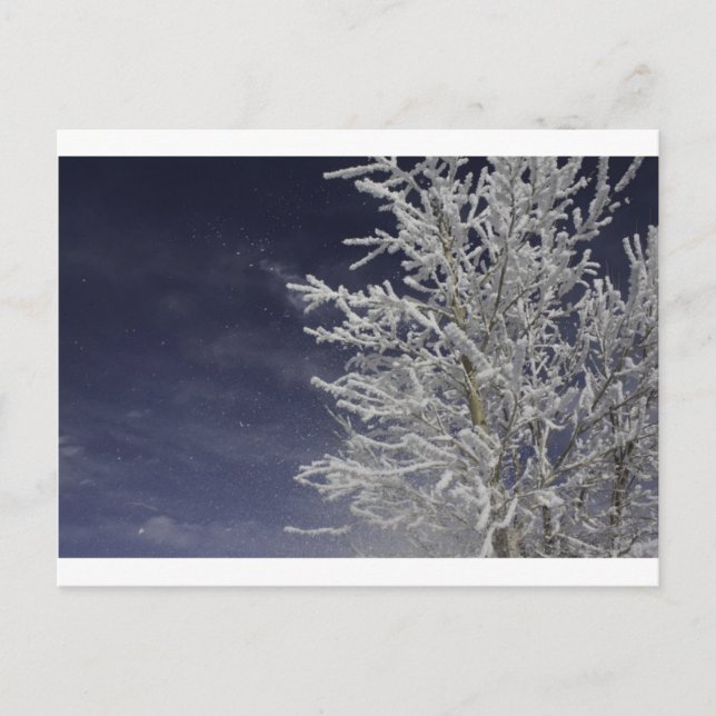 Winter Post Card (Front)