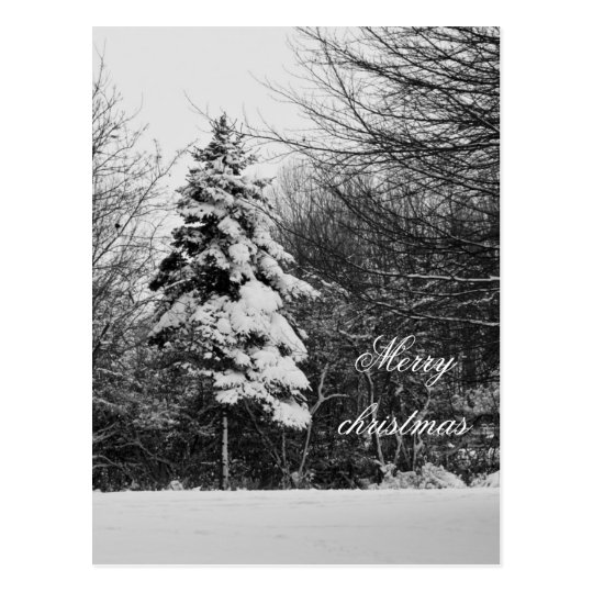 Winter postcard