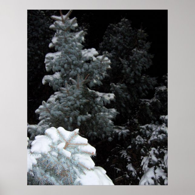 Winter Poster (Front)