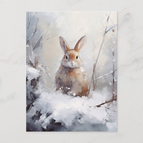 Winter Rabbit Postcard