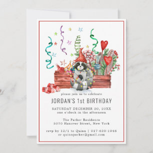 Winter Raccoons Woodland Party Invitation