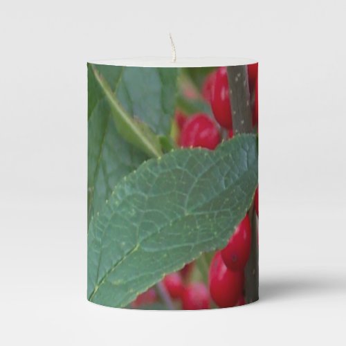 Winter Red Berries Holiday Scenic Christmas  Pillar Candle