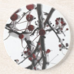 Winter Red Berries Sandstone Coaster at Zazzle