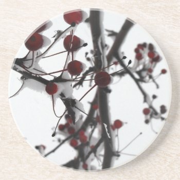 Winter Red Berries Sandstone Coaster by hasarts88 at Zazzle