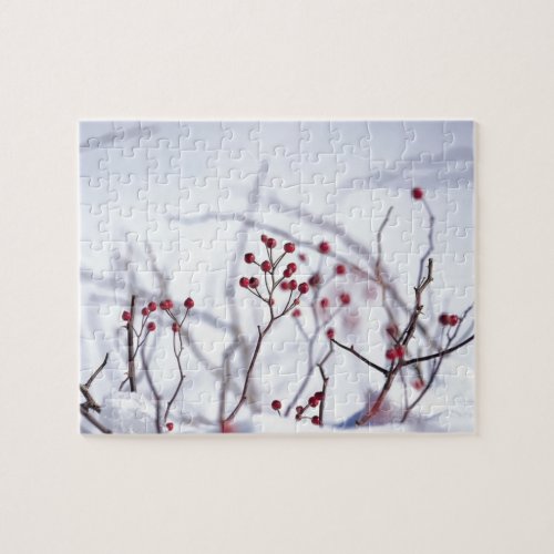 Winter Red Berries White Snow Jigsaw Puzzle