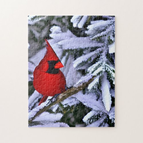 Winter Red Cardinal Jigsaw Puzzle