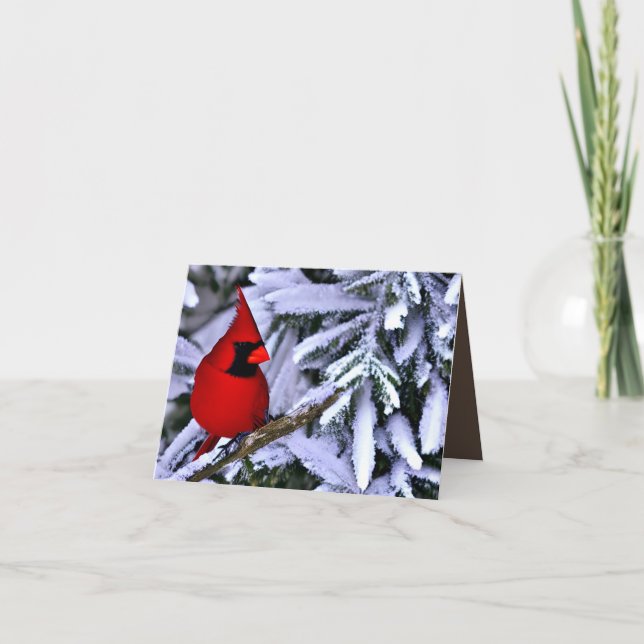 Winter Red Cardinal Letterpress Thank You Card (Front)