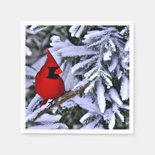 Winter Red Cardinal Napkins