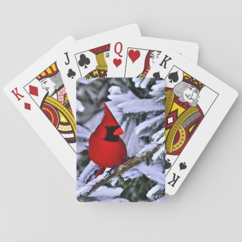 Winter Red Cardinal Poker Cards