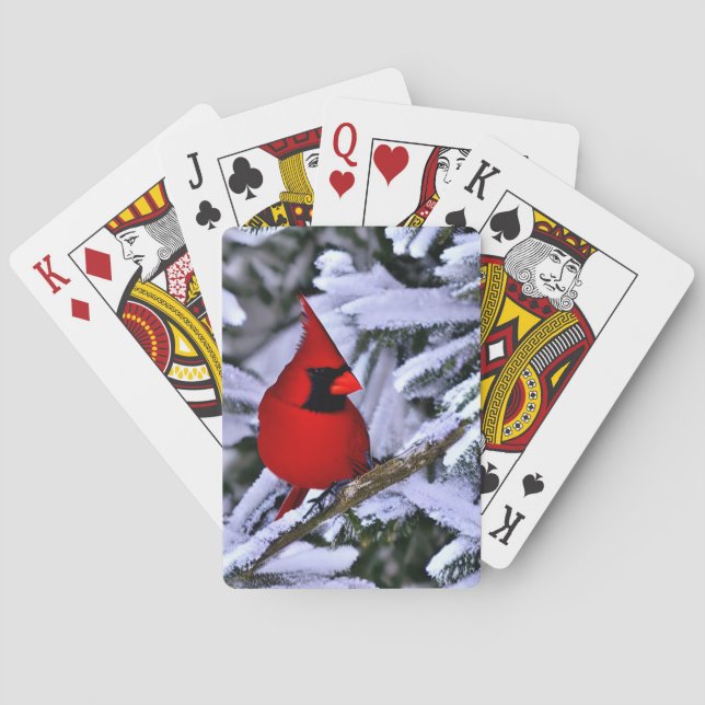 Winter Red Cardinal Poker Cards (Back)