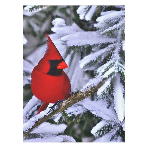 Winter Red Cardinal Tablecloth