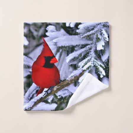 Winter Red Cardinal Wash Cloth