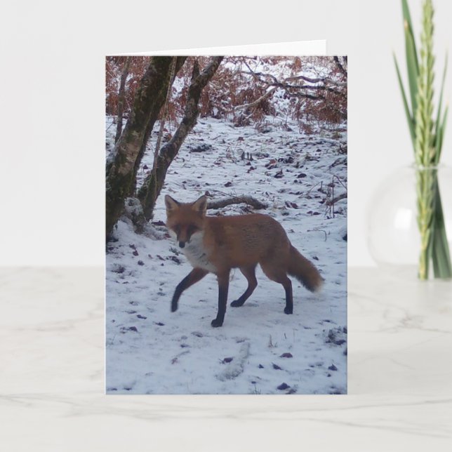 Winter Red Fox Wildlife  – Personalized Card (Front)