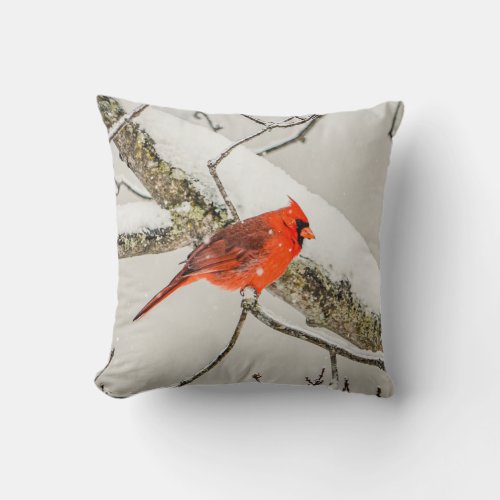 Winter Red Male Cardinal Bird Wildlife Throw Pillow