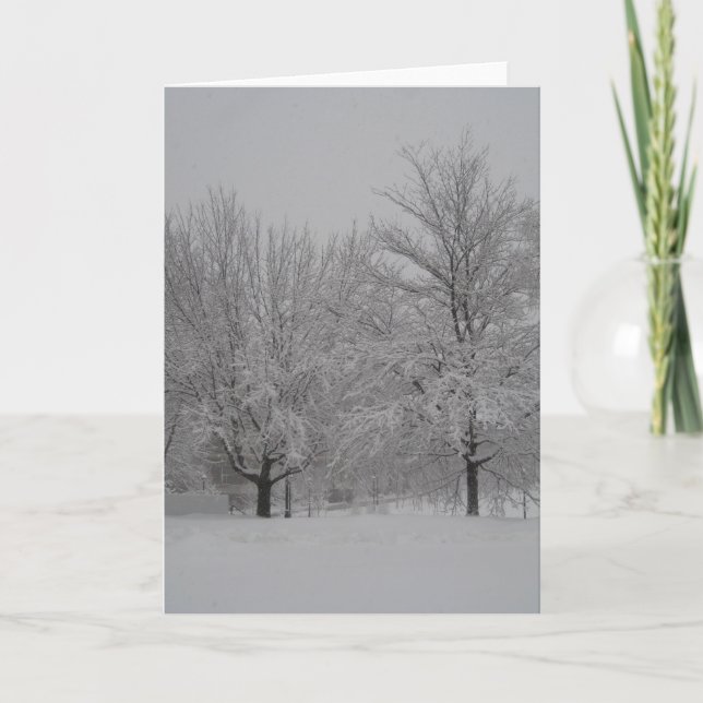 Winter red maples card (Front)