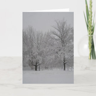 Winter red maples card