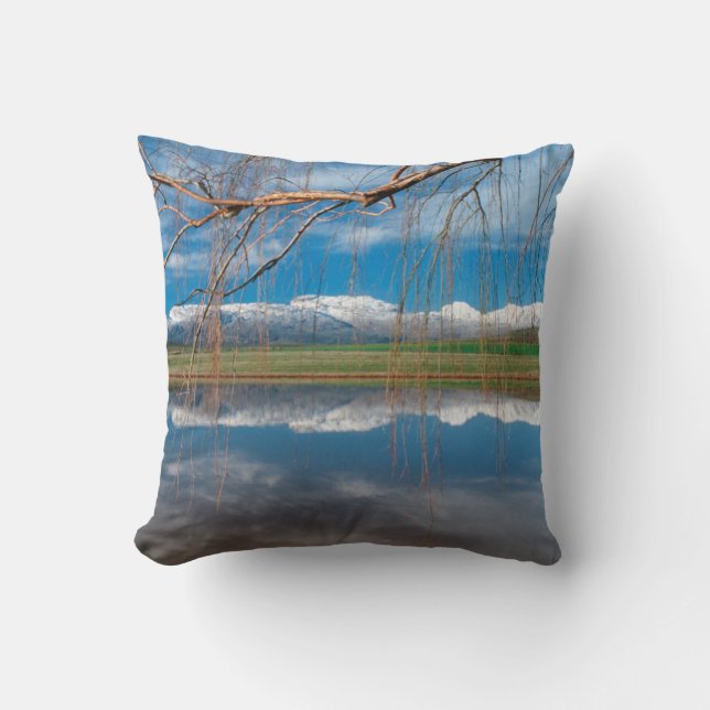 Winter Reflections. Ceres, Boland District Throw Pillow (Front)