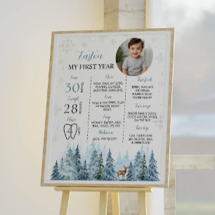 Winter Reindeer Birthday Photo Milestone Poster