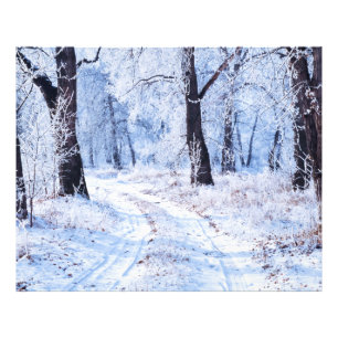 Winter Road Photo Print