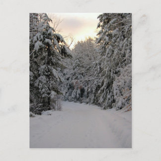 Winter Road Postcard