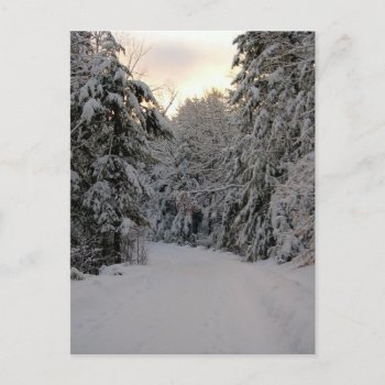 Winter Road Postcard by pamdicar at Zazzle