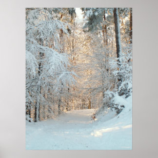 Winter Road Poster