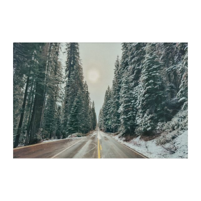 Winter Road Through Forest Acrylic Print (Front)