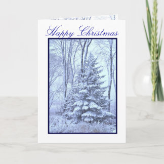 WINTER ROBES ~ Blue Holiday Card