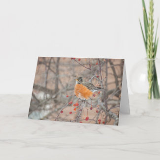 Winter Robin 1 Card