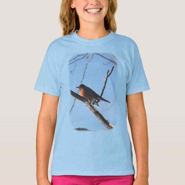 Winter Robin Animal Nature  T-Shirt (Front)