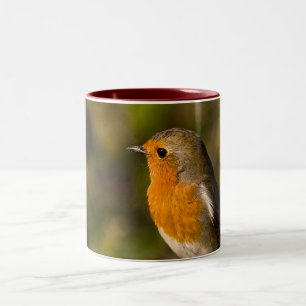 Winter Robin Mug