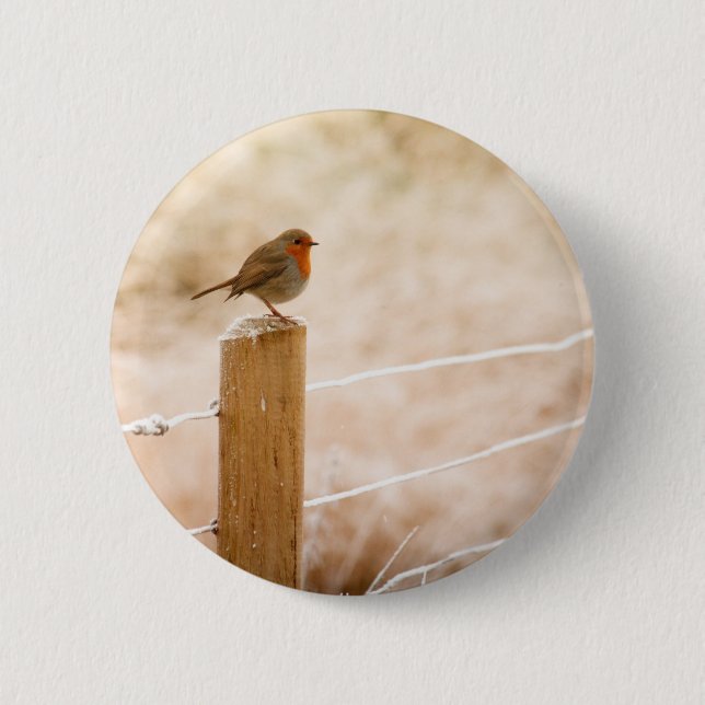 Winter Robin Redbreast Button (Front)