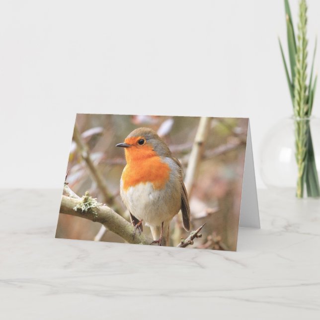 Winter Robin Redbreast Card (Front)