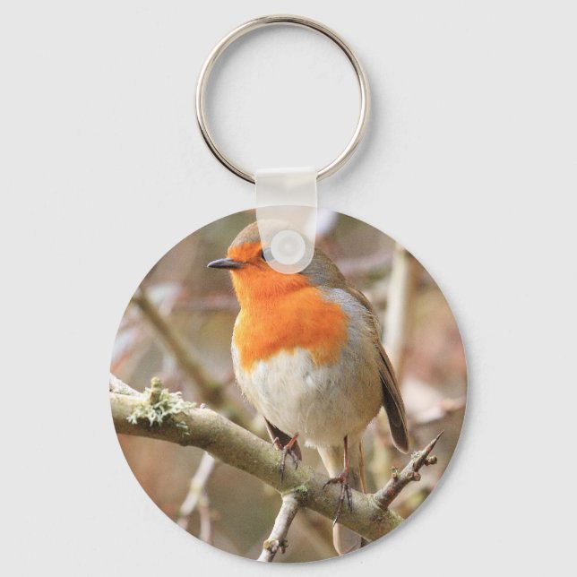 Winter Robin Redbreast Keychain (Front)