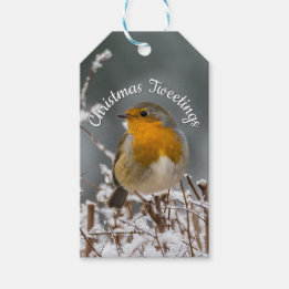Winter Robin White Christmas | Holly Round Frame Gift Tags