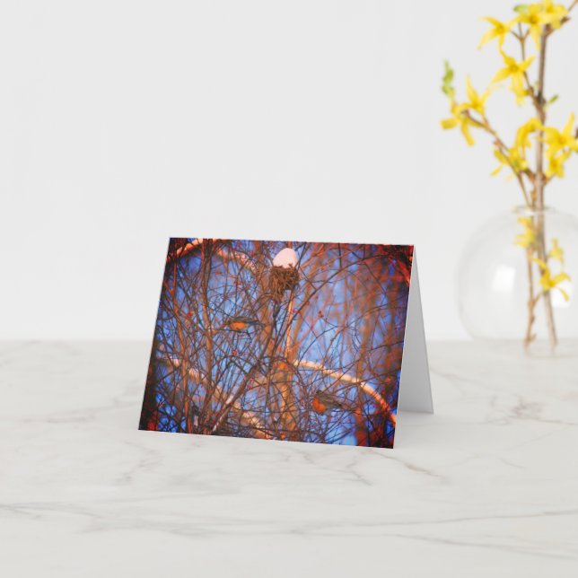 Winter Robins Wildlife Nature Note Card (Yellow Flower)