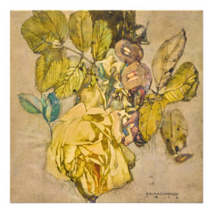 Winter Rose by Charles Rennie Mackintosh Photo Print