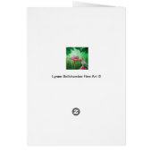 Winter Rose Cards (Back)