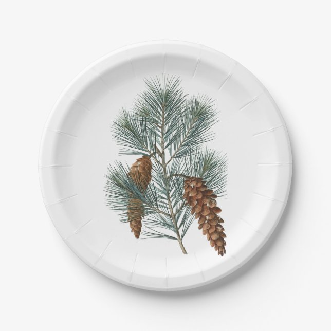 Winter Rustic Woodland Pine Cones and Branch Paper Plates (Front)