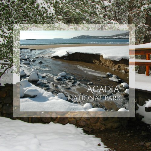 Winter Sand Beach Acadia National Park ME Postcard