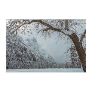 Winter Scene Acrylic Print