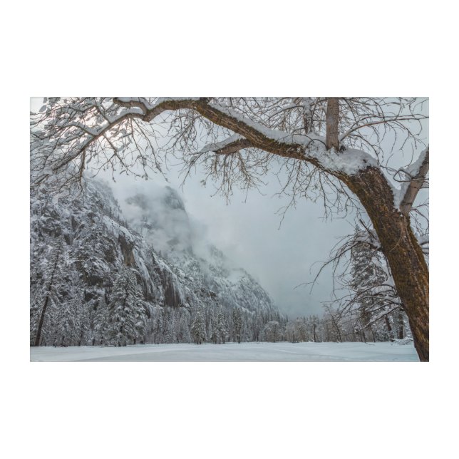 Winter Scene  Acrylic Print (Front)