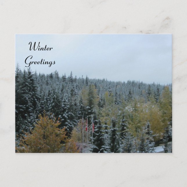 Winter Scene at Whistler, B.C. Postcard (Front)