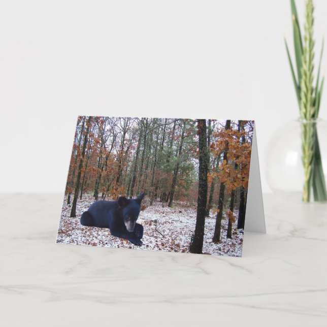 Winter Scene Black Bear Cub in the Woods Holiday Card (Front)