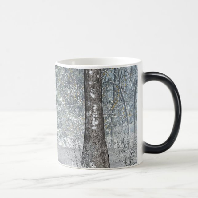winter scene. color morph mug  (Right)