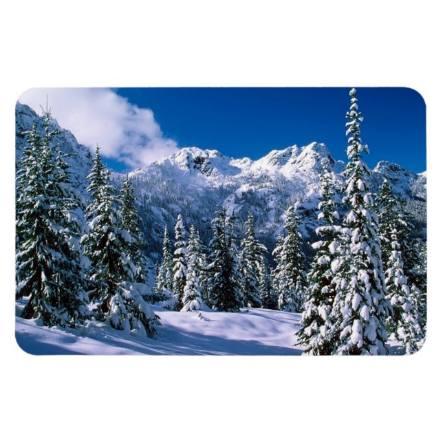 Winter Scene Magnet (Horizontal)