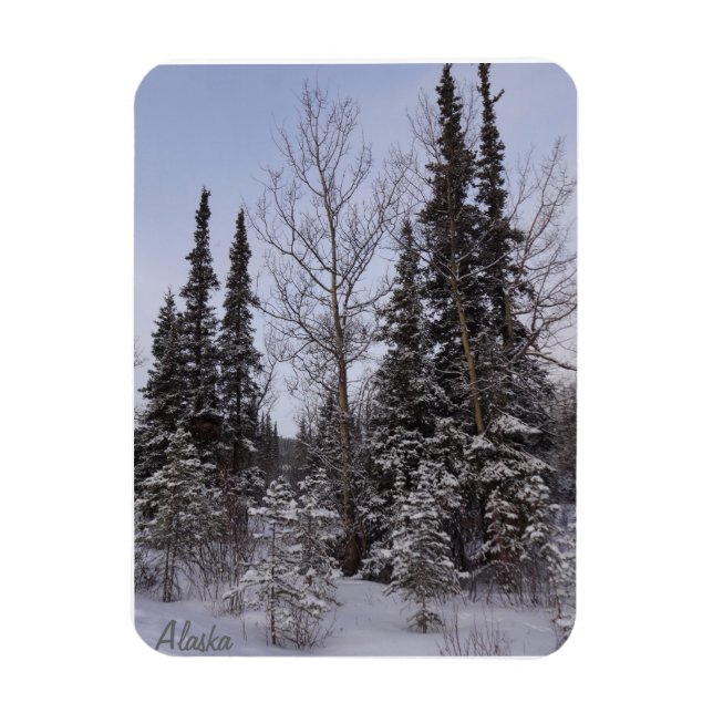 Winter Scene Magnet (Vertical)