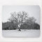 Winter Scene Mouse Pad